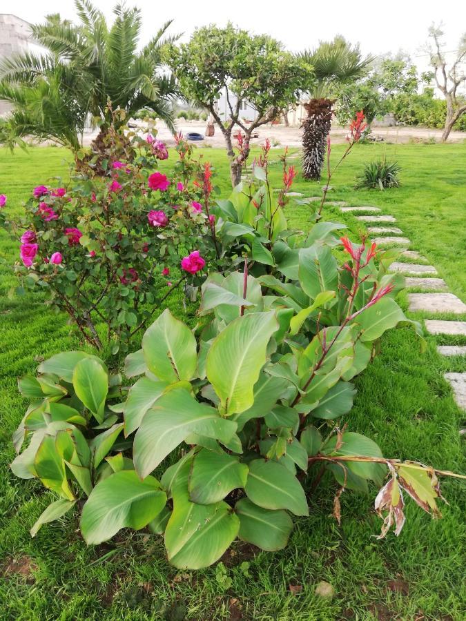 Il Giardino Dei Tramonti Bed & Breakfast Nardò Eksteriør bilde